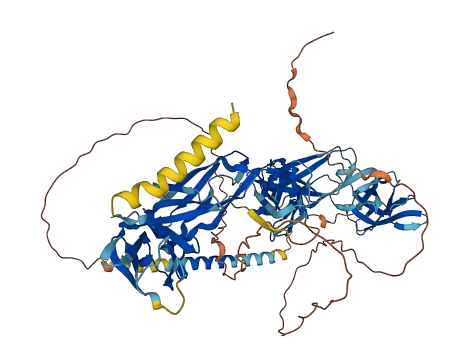 Lilrb3a 3D structure