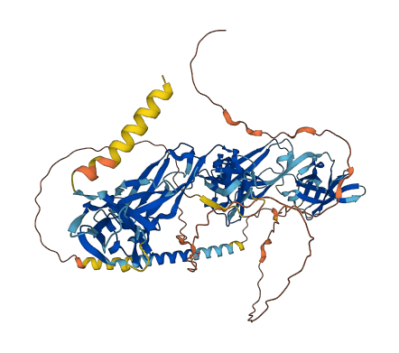 Lilrb3b 3D structure