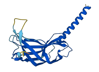 Arxes2 3D structure