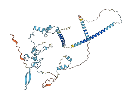 Mfap1b 3D structure