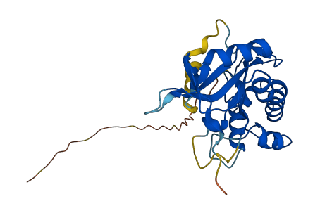 Rnaset2a 3D structure