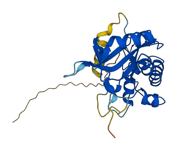 Rnaset2b 3D structure