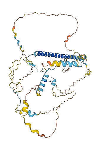 WASH3P 3D structure