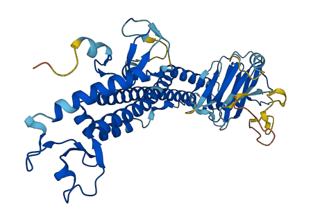 TRIM49D1 3D structure