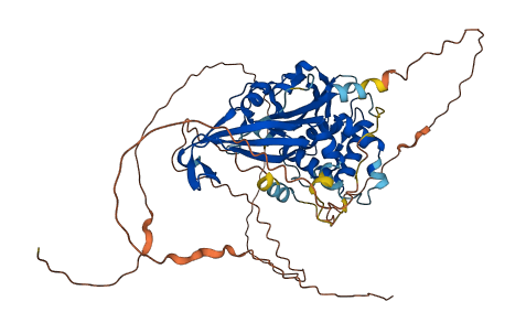 USP17L15 3D structure