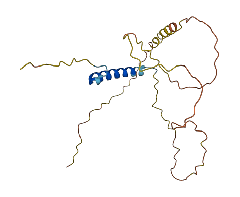 C4orf51 3D structure