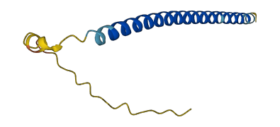 C5orf58 3D structure