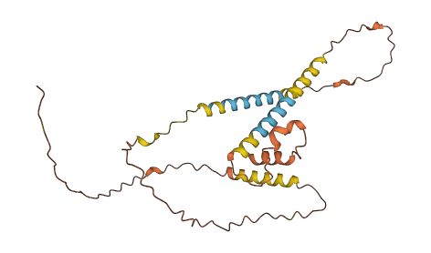 C22orf46 3D structure