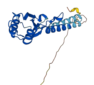 C19orf81 3D structure