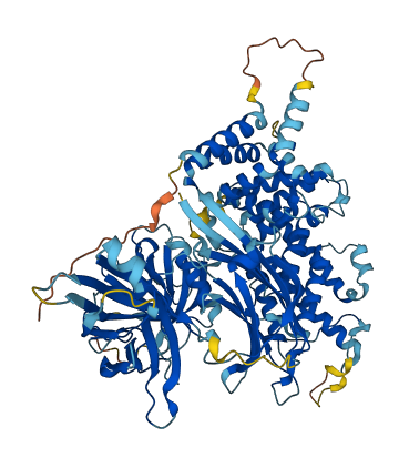 RASA4B 3D structure