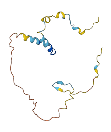 UMAD1 3D structure