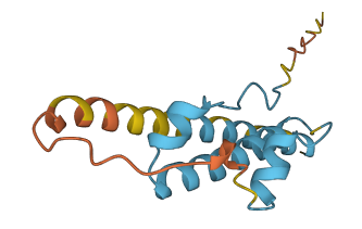 KRBOX1 3D structure