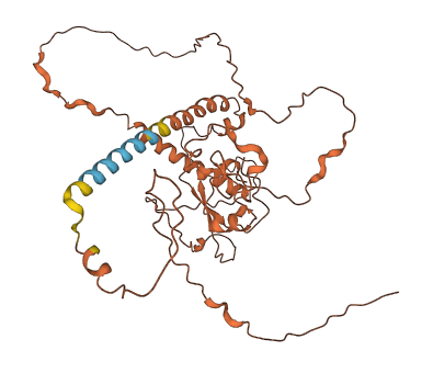 FAM157A 3D structure