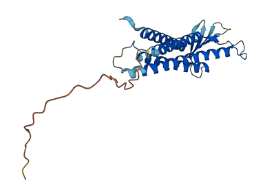CLDN25 3D structure