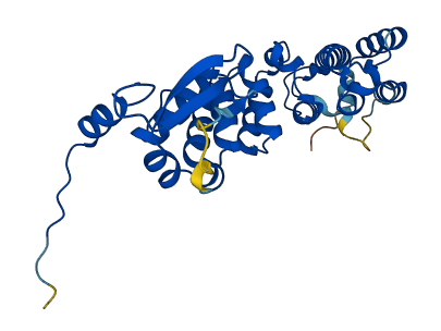 BTBD19 3D structure
