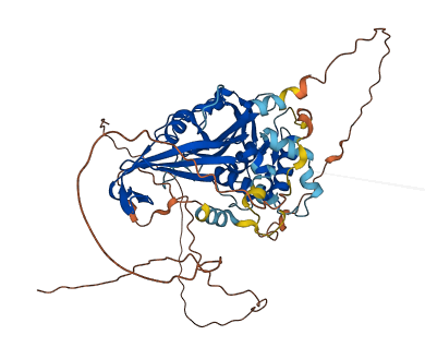 USP17L10 3D structure
