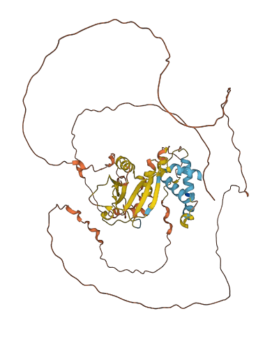 HHLA1 3D structure