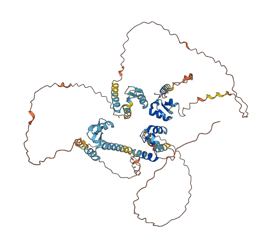 C11orf95 3D structure