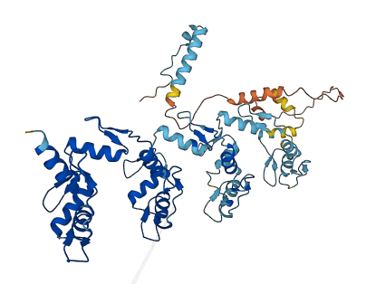 ZNF878 3D structure