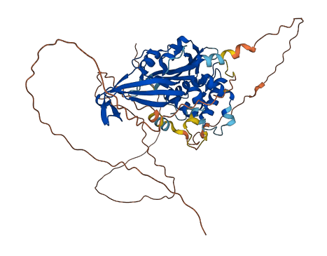 USP17L12 3D structure