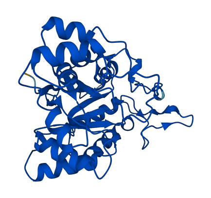AKR1B15 3D structure