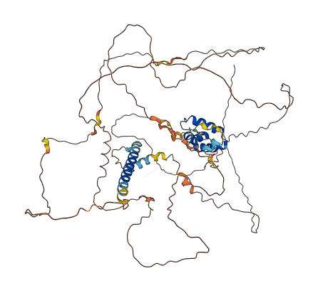 BHMG1 3D structure