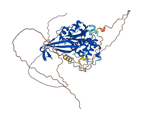 USP17L11 3D structure