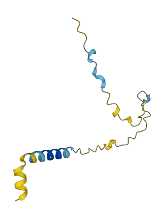 C11orf94 3D structure