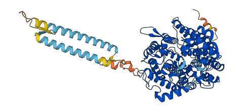Ace3 3D structure