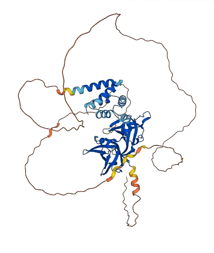 Mndal 3D structure