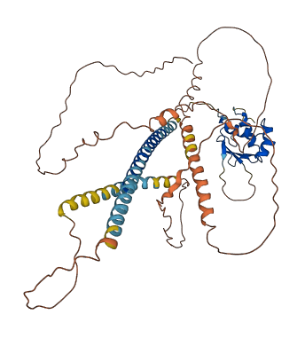 Hsf3 3D structure