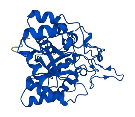 Akr1c15 3D structure
