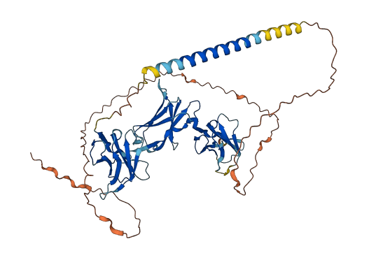 Nilr1 3D structure