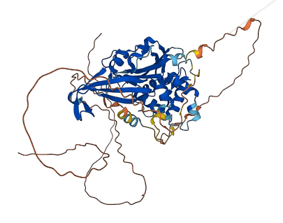 USP17L21 3D structure