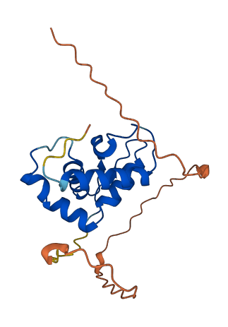 USP17L23 3D structure