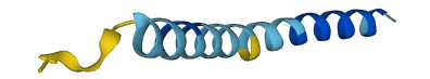 STMP1 3D structure