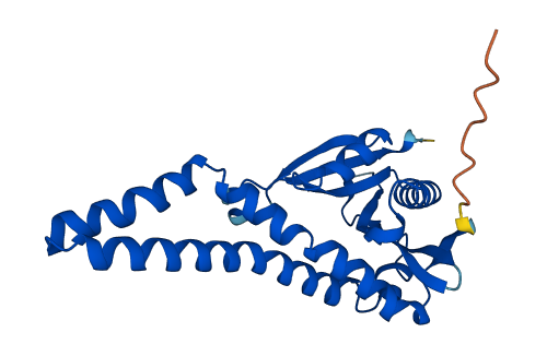 Nat8b-ps 3D structure