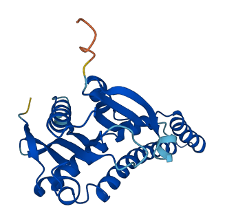 Nat8f7 3D structure