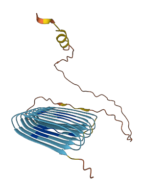 HCG22 3D structure