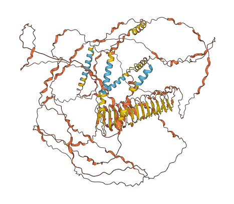 NPIPB11 3D structure