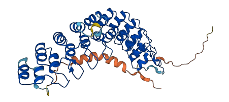 ANKRD65 3D structure