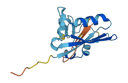 FTCDNL1 3D structure