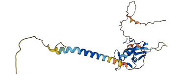 RNF223 3D structure