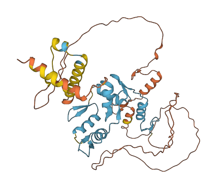 ZNF587B 3D structure