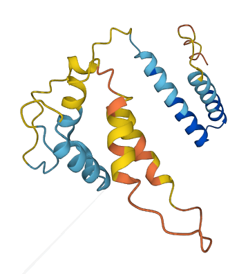 PPP5D1 3D structure