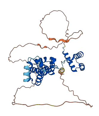 ANHX 3D structure