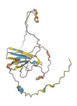 PRR23D1 3D structure
