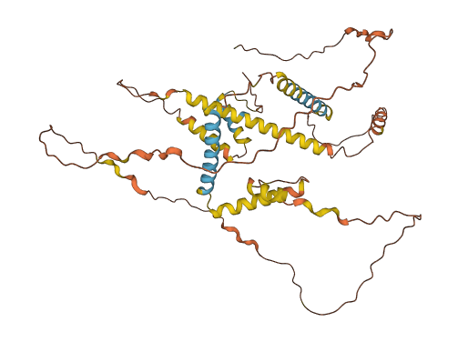 NPIPB6 3D structure