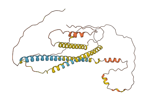 NPIPA7 3D structure
