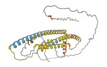 NPIPA5 3D structure
